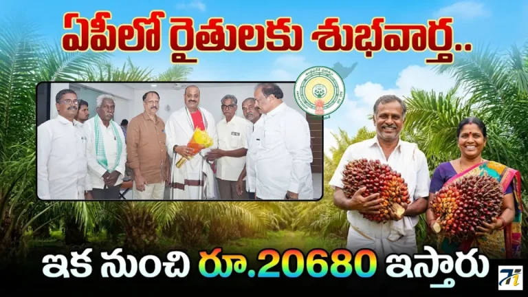 Andhra Pradesh Oil Palm Price Rs 20680