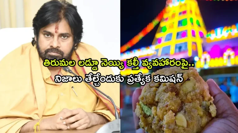 Tirumala Laddu ghee controversy