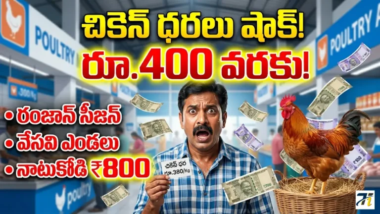Chicken Prices Surge