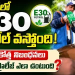 India E30 Ethanol Petrol Standards