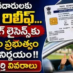 Driving Licence Validity