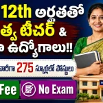 Telangana Pre Primary Teacher Ayamma Recruitment 2026